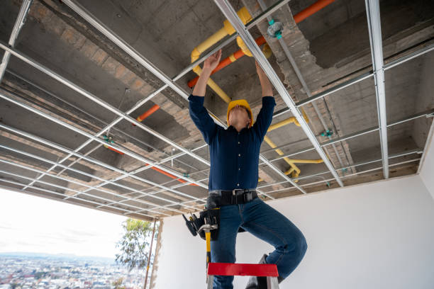 Best Sewer Line Repair  in Ferndale, PA