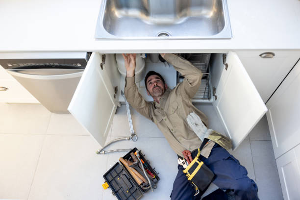 Best Clogged Drain Plumber  in Ferndale, PA