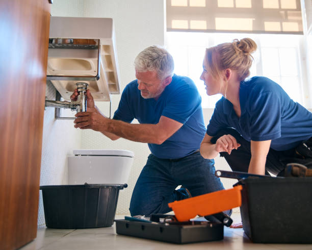 Best Affordable Plumber Near Me  in Ferndale, PA